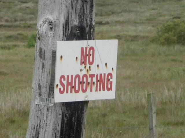 no shooting.JPG - Ironic sign is ironic.